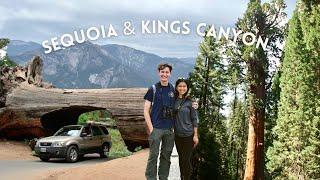 48 Hours Exploring Sequoia & Kings Canyon National Parks