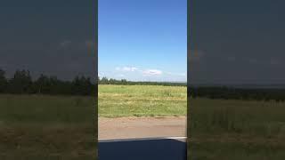 Вид из окна автомобиля