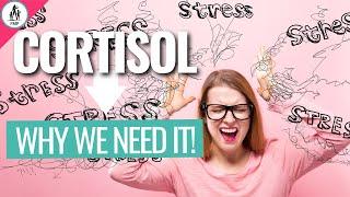 What is Cortisol? (Hormone Series Part 1 of 3)