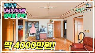 대지 250평 텃밭딸린 바닷가 양옥 주택이 딱 4000만원!