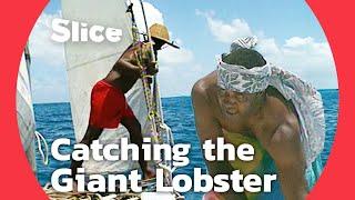 The Kunies of New Caledonia: Masters of Giant Lobster Fishing | SLICE