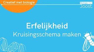 Erfelijkheid | Een kruisingsschema maken | Creatief met Biologie