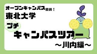 東北大学オープンキャンパス2024 川内キャンパス案内