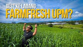 Best ke ladang FarmFresh UPM?