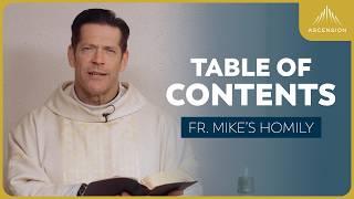 "Canon of Scripture" | The Ascension of the Lord (Fr. Mike's Homily) #sundayhomily