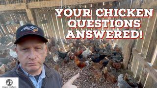 Essential Tips for Caring for Chickens: The Ultimate Guide to Raising Happy and Healthy Flocks!