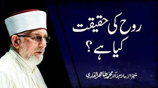 Soul-Rooh ki Haqiqat kya hai? | Shaykh-ul-Islam Dr Muhammad Tahir-ul-Qadri