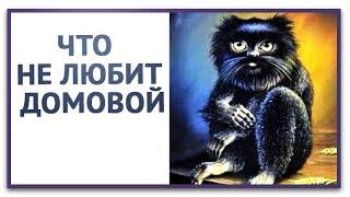 К домовому с осторожностью.  Что не любит домовой.  Как увидеть домового . Приметы про домового