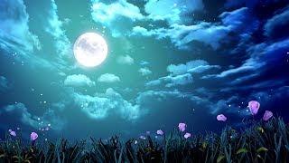 10 Hours Relaxing Sleep Music + Night Nature Sounds  Stress Relief Music, Insomnia, Calming Music