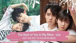 OST THE BEST OF YOU IN MY MIND | VAE - THE BEST OF YOU IN MY MIND [LYRICS HAN+PIN+ENG] 全世界最好的你 OST