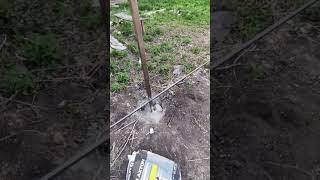 Забор за пару часов #стройка