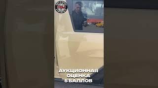 Стоимость кей кара Daihatsu Taft под заказ с аукционов Японии.