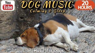 20 HOURS of Dog Calming MusicAnti Separation Anxiety ReliefDog bedtime music⭐Healingmate