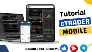 cTRADER SHIRKADDA FUNDINGPIPS TUTORIAL | MOBILE