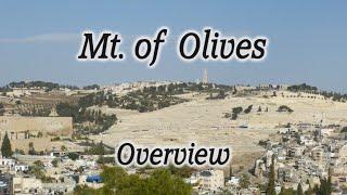 Mt. of Olives Overview Tour: Chapel of Ascension, Pater Noster Church, Dominus Flevit, Gethsemane