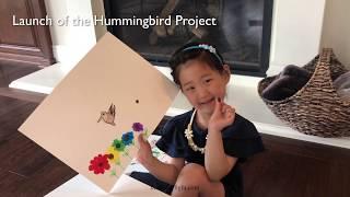 Videologue #41 Summer Hummingbird Project