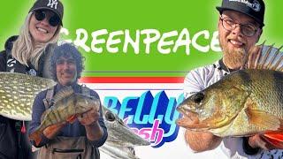 ANGELNEWS 23/24 - Polen BRICHT Wahlversprechen, Greenpeace mit Statement, Belly Splash uvm....