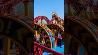 Slinky Dog Dash  #dog #rollercoaster #coaster #hollywoodstudios #disney #fast #ride #toystory #fyp