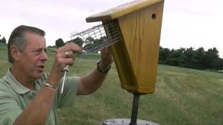 A helping hand for Lancaster County's bluebirds