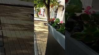 Харьков #shorts