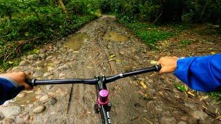 Surly Steamroller Test Ride - Fixed Gear / Tracklocross / Gravel Build 