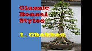 Chokkan II Classic Bonsai Styles