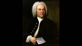 #读书笔记#约翰 塞巴斯蒂安 巴赫||Johann Sebastian Bach