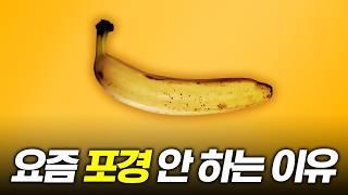 돈까스로는 어림도 없지