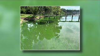 Department of Health cautions residents about blue-green algae bloom in Doctors Lake