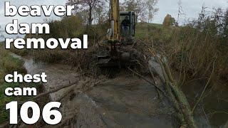 Even With the Help Of An Excavator It's Not Easy - Beaver Dam Removal With Excavator No.106
