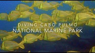 Diving Cabo Pulmo National Marine Park