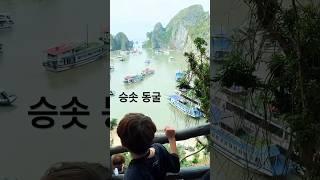 하롱베이 승솟동굴 크루즈 투어
