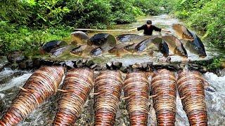 Trap giant fish with bamboo cages, great skill of Hoang Huong Building New Life, my lucky day