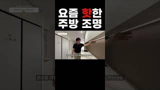 아직도 이 제품 모르세요? 셀인 카페에서도 핫한 주방 인테리어 조명 이제 어두운 곳에서 설거지 하지 마세요 @HAFELEKOREAINC  #24평아파트인테리어 #신혼부부인테리어