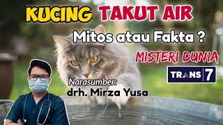 KUCING TAKUT AIR, MITOS ATAU FAKTA ? | drh. Mirza Yusa | DOKTER HEWAN