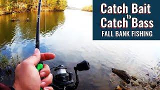 How I Catch My Own Bait! Fishing With Live Bait I Just Caught