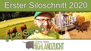 FarmVLOG#36: Erster Siloschnitt, Grillvideo, neue Futterraufe - Stephan Hauer`s Highlandzucht