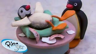 Pinga Is Born  | Pingu - Official Channel | Cartoons For Kids