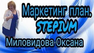 МАРКЕТИНГ КОМПАНИИ СТЕПИУМ  ЮЛИЯ БУРМИНА, ПОДРОБНО СО ВСЕМИ ПОДВОДНЫМИ КАМНЯМИ