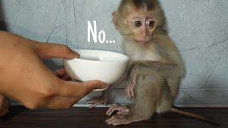 HELP, Poor Baby monkey Doesn't Know How To Drink Milk...