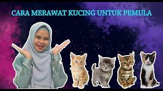 10 CARA MERAWAT KUCING UNTUK PEMULA || Kailma Resdika