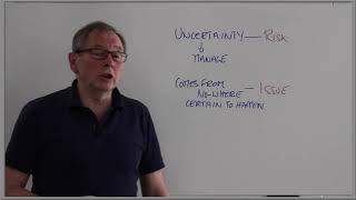 Snippets - Risks and Issues: Manage-Resolve