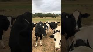 Sharfield Inc 10-14-19 Lot 1