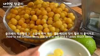 [내쉬빌 장금이]골든베리주스만들기 신장에 정말 좋고, 전립선에 정말 좋은 주스 골든베리주스 소개해 드려요. 정말 신기한 맛이에요.