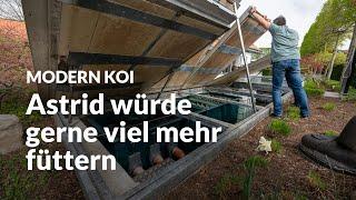 Astrids 20 Jahre alter und hydraulisch katastrophaler Filter | Modern Koi Blog #6725