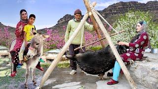 Making Traditional Butter with Goat Skin | A Peaceful Spring Day in the Mountain Village 