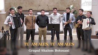 Grupul Shalom Botosani - Te-am ales, Te-am ales