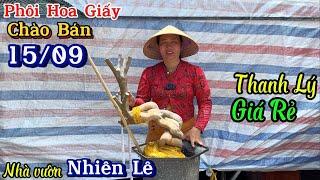 Phôi hoa giấy cây dáng đẹp thanh lý giá bình dân bao ship ngày 15/09  0399.223.080 Nhiên Lê