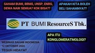 Saham Grup Bakrie Mendadak Terbang!! Kok Bisa??