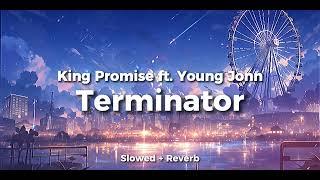 King Promise ft  Young Jonn  - Terminator ( Slowed + Reverb )